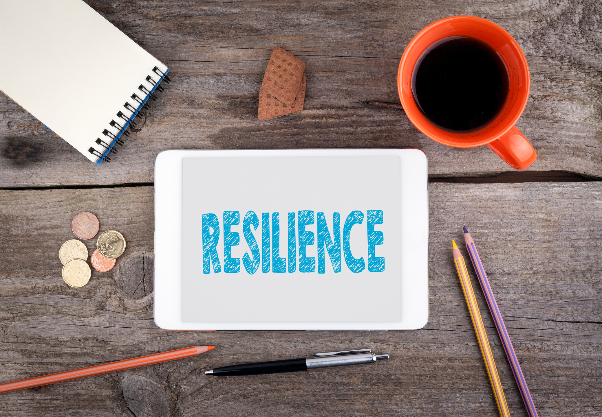 Building Resilience through a more conscious approach to AppraisalBuilding Resilience through a more conscious approach to Appraisal